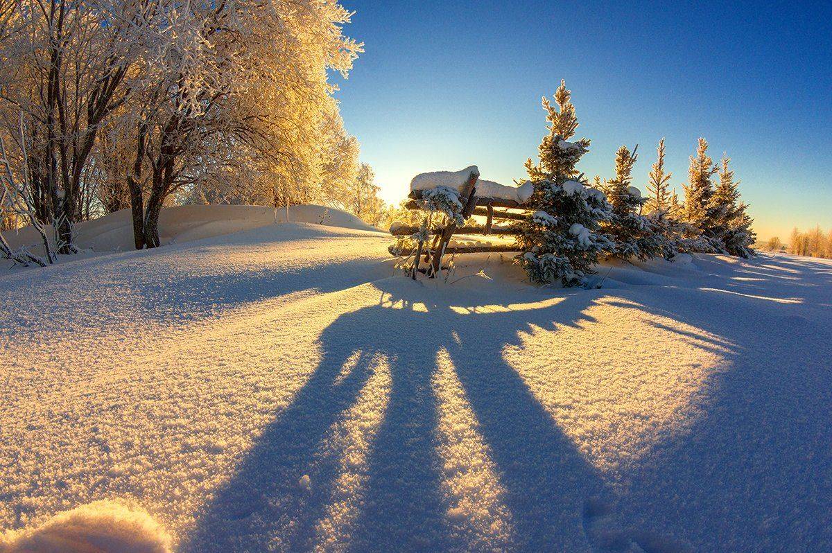 , Марина Мурашова