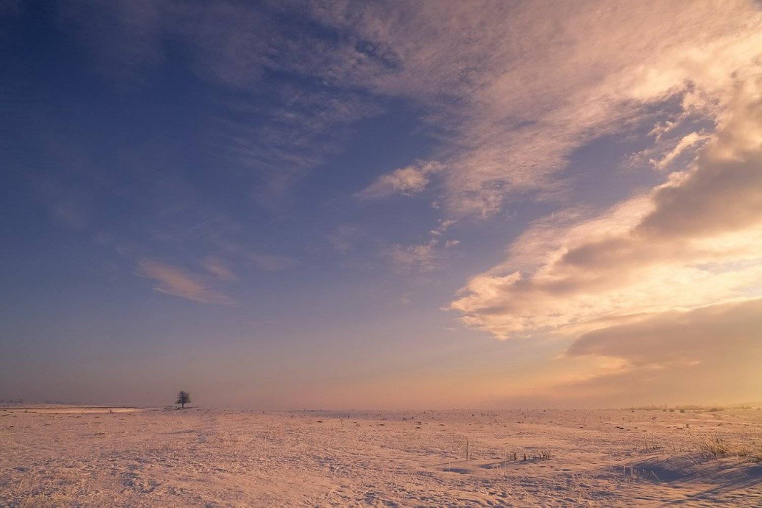 , Вячеслав Мищенко