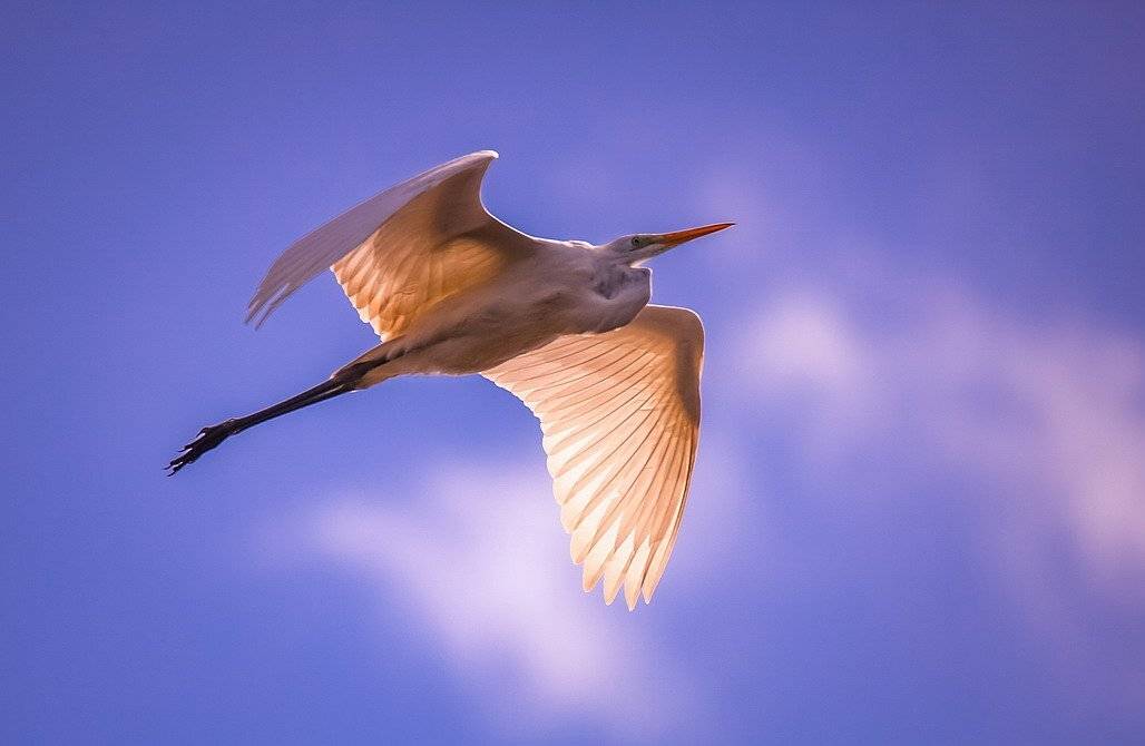 , Вячеслав Мищенко