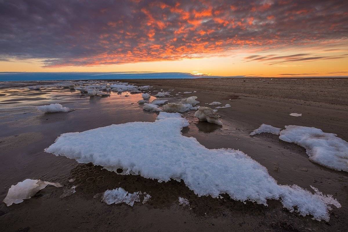 арктика, стамуха, лед, тундра, Кирилл Уютнов