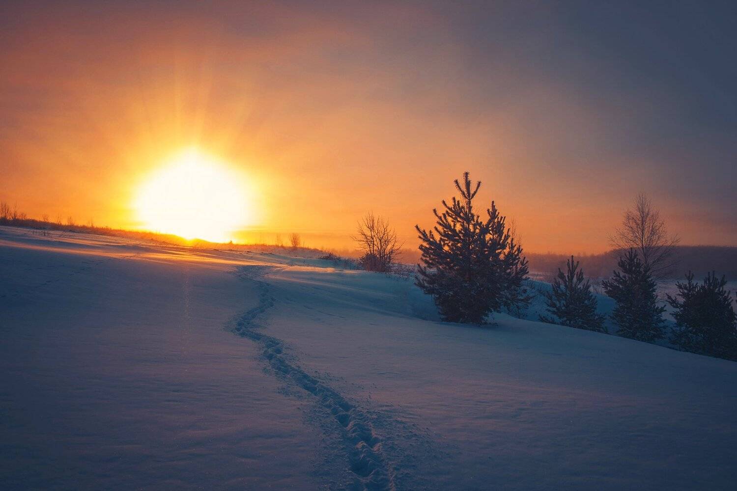 фото, природа, рассвет, дорога, зима, елочки, Екатерина