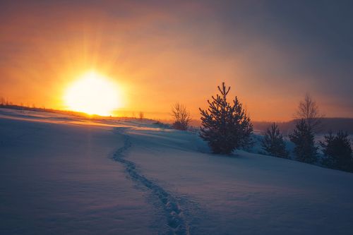 Зимний минимализм