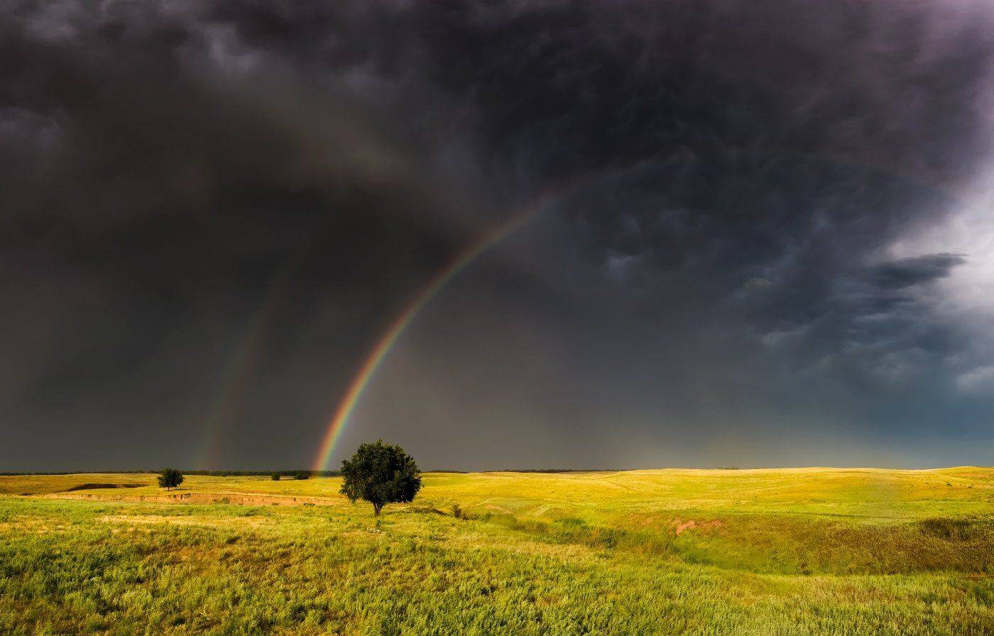 радуга, вечер, гроза, дерево, весна, Ольга Кулакова