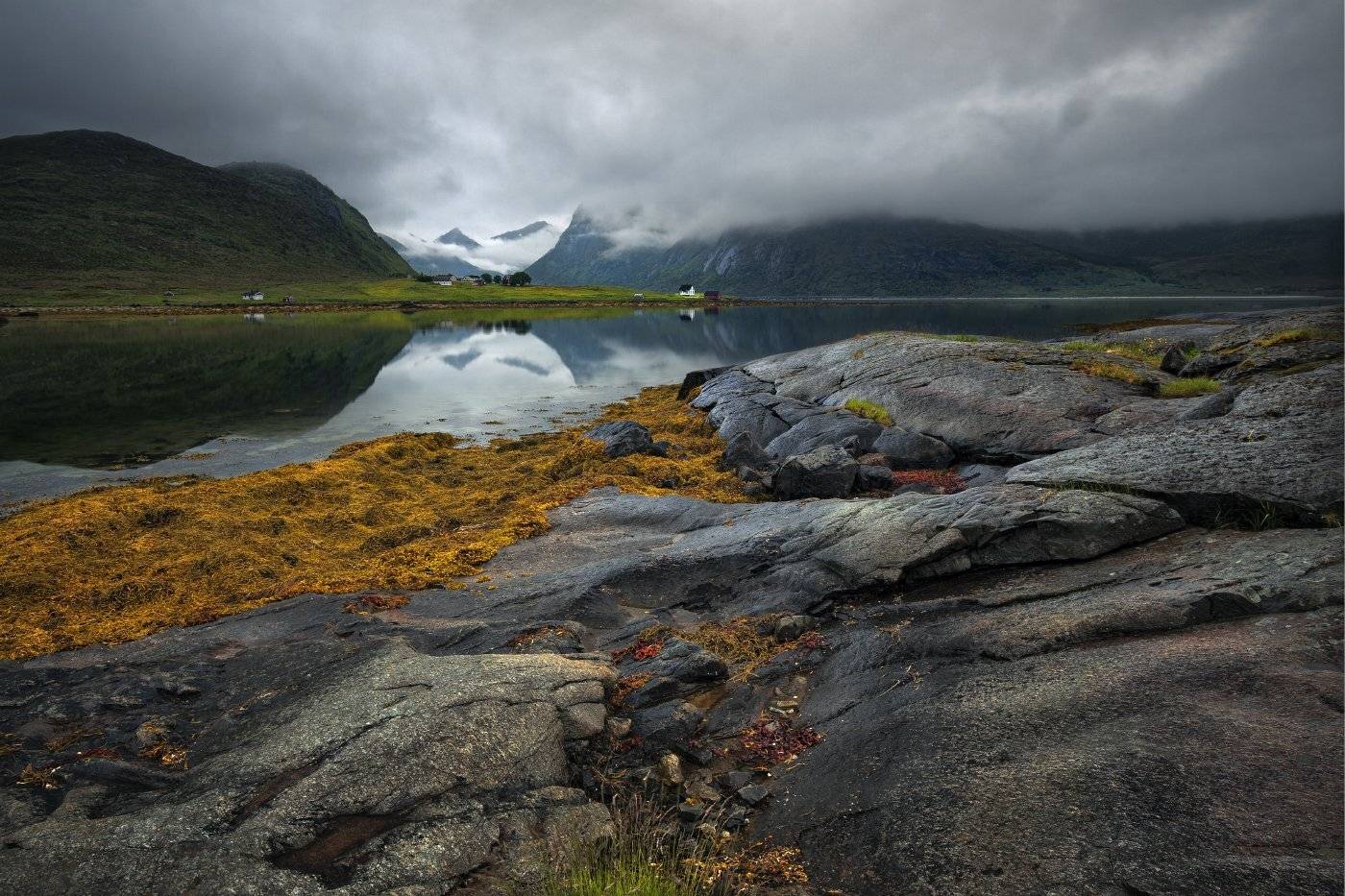 norway. norge, Andris