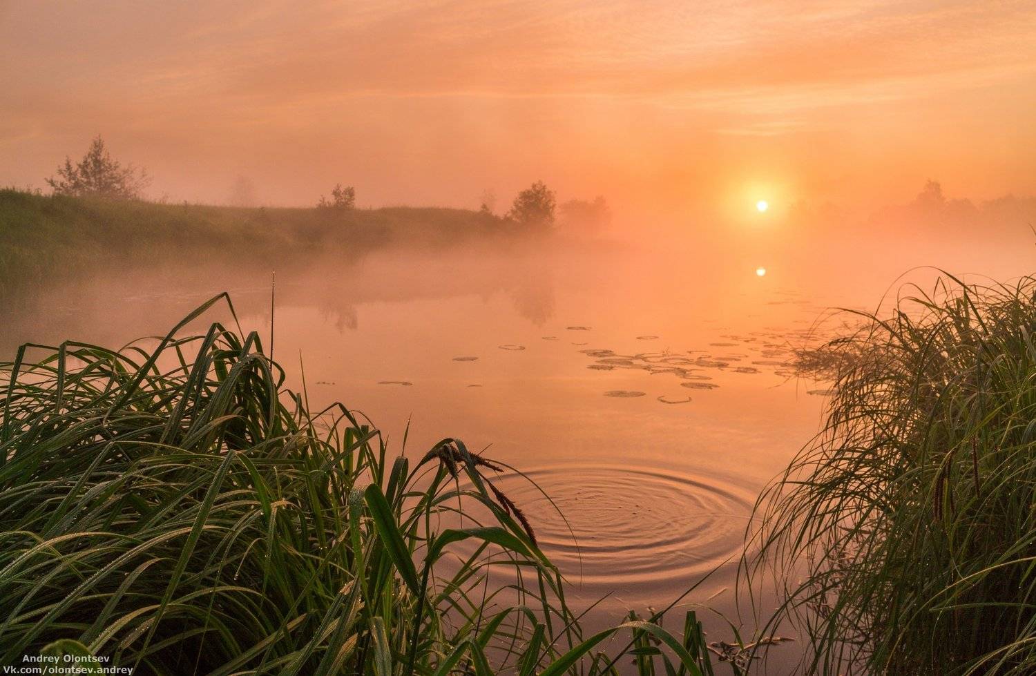 дубна, пейзаж, лето, рассвет, туман, canon, Андрей Олонцев