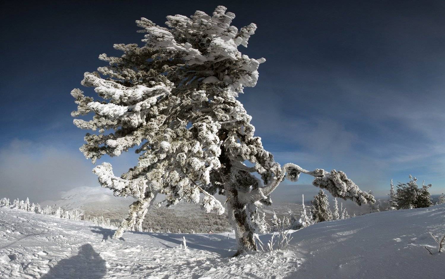 шерегеш., Лихарев Александр