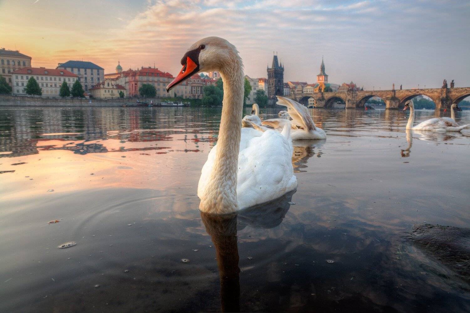 , Александр Атоян