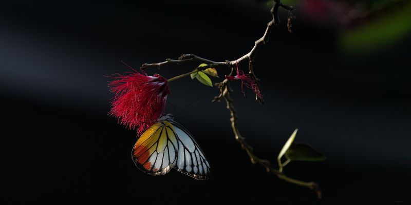 В прохладе фото превью
