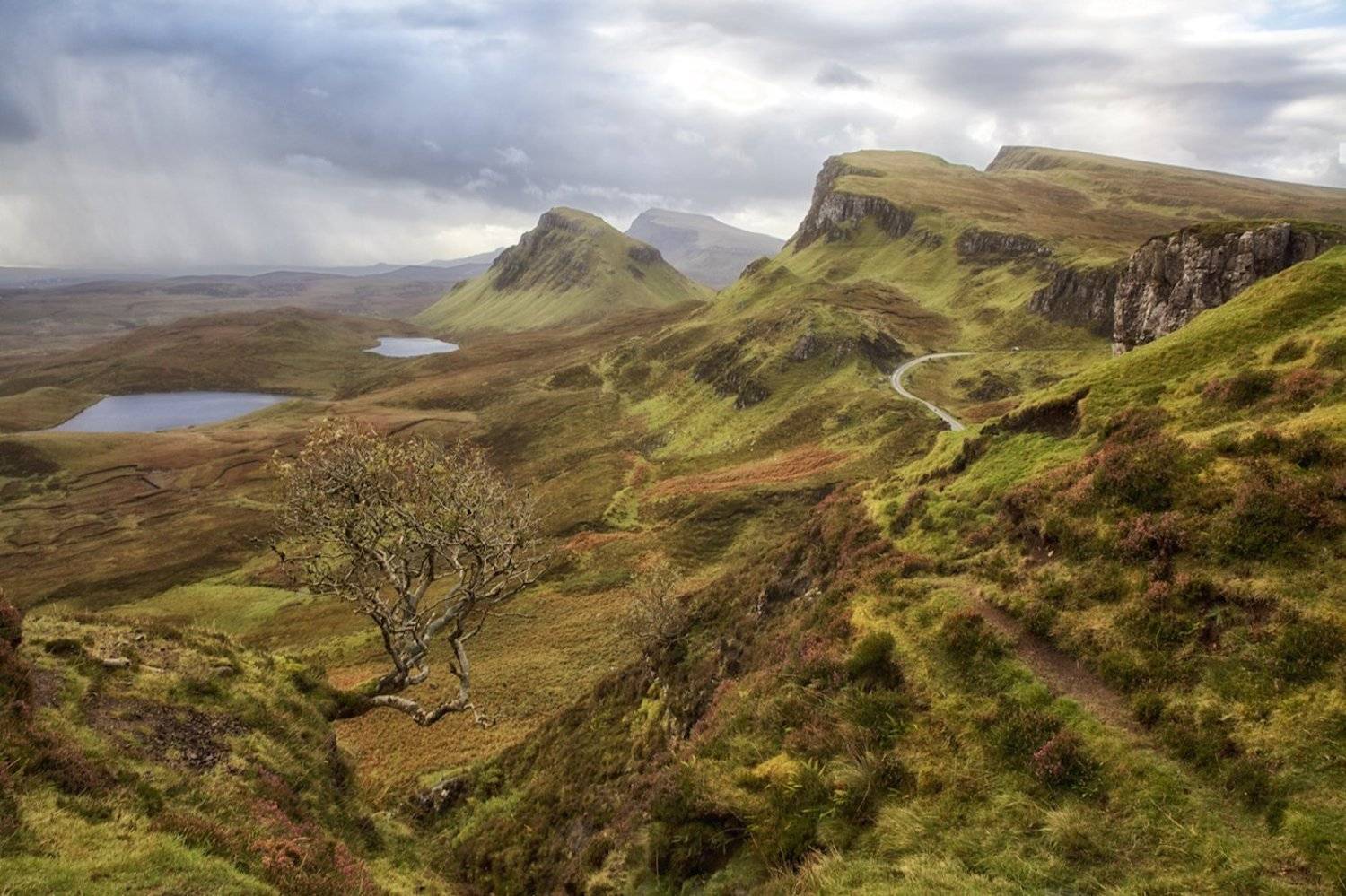 scotland, mc, Маргарита Чернилова