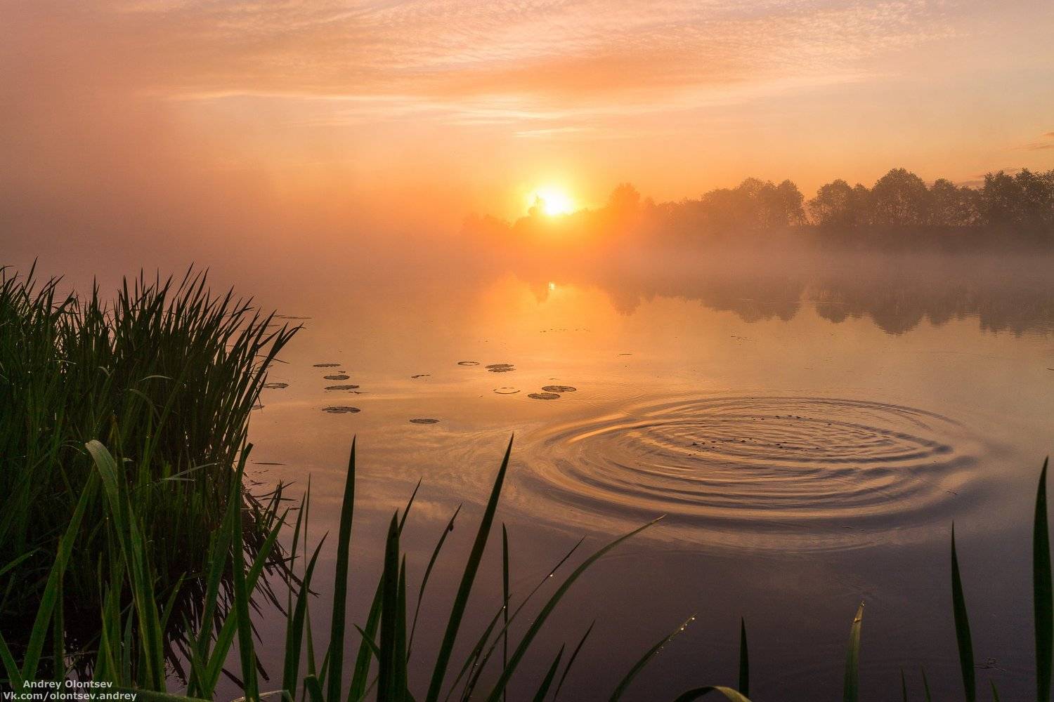 дубна, пейзаж, лето, рассвет, туман, canon, Андрей Олонцев