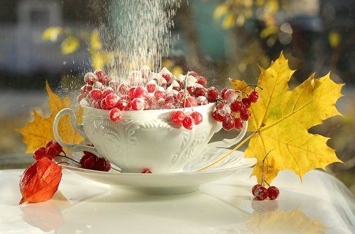 Калина с сахаром