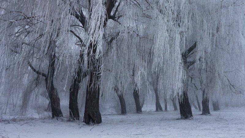 . . . фото превью