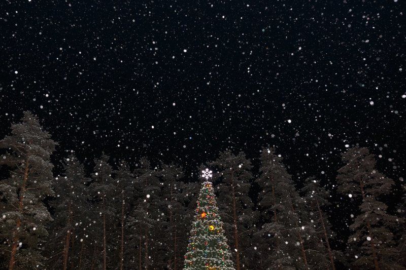 Падал снег фото превью