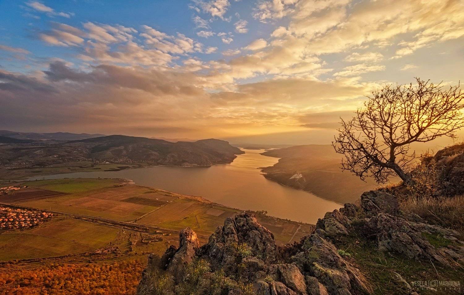 , Весела Маринова