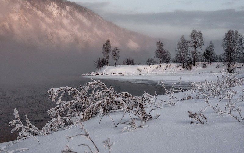 Морозная нежность. фото превью