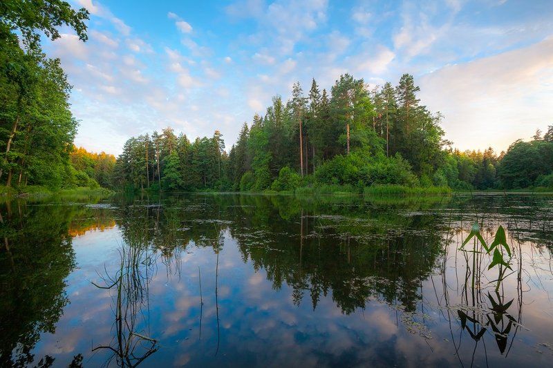 озеро, лес, дубровенка, печерск, вечер, благодать Любимое место фото превью