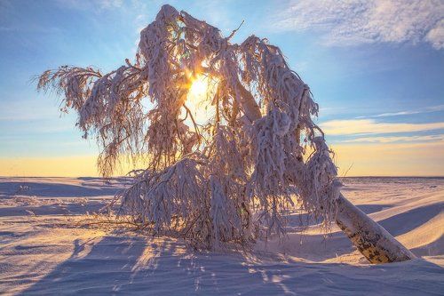 Закат в степях