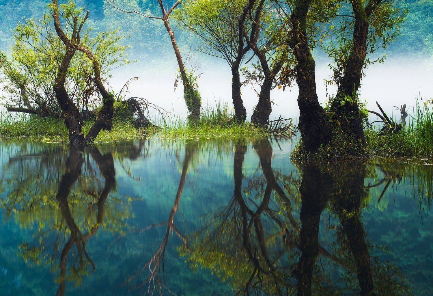 korea, Nathaniel Merz