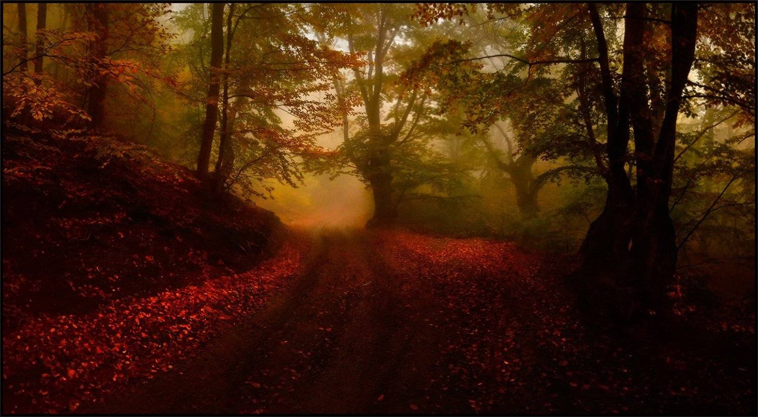 , Владимир Метцгер