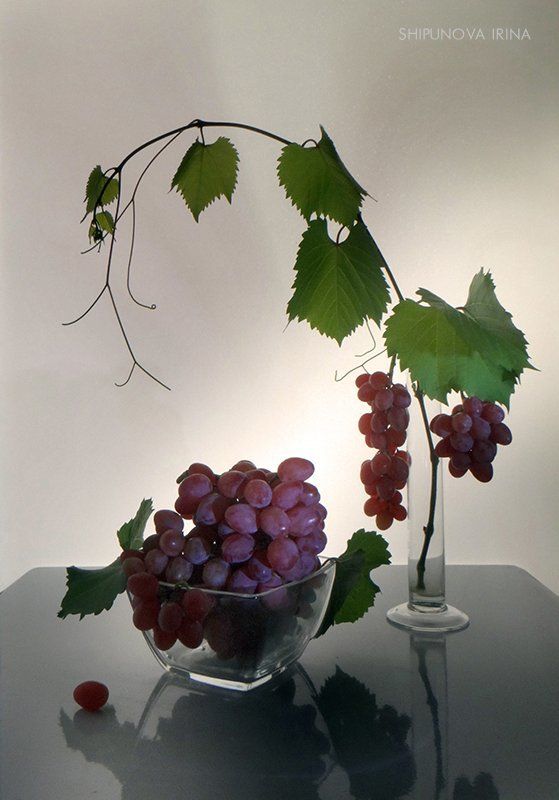 Виноградная пора 2 фото превью