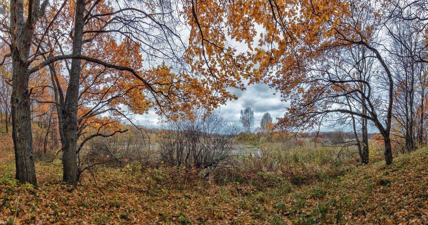 , Николай Андреев