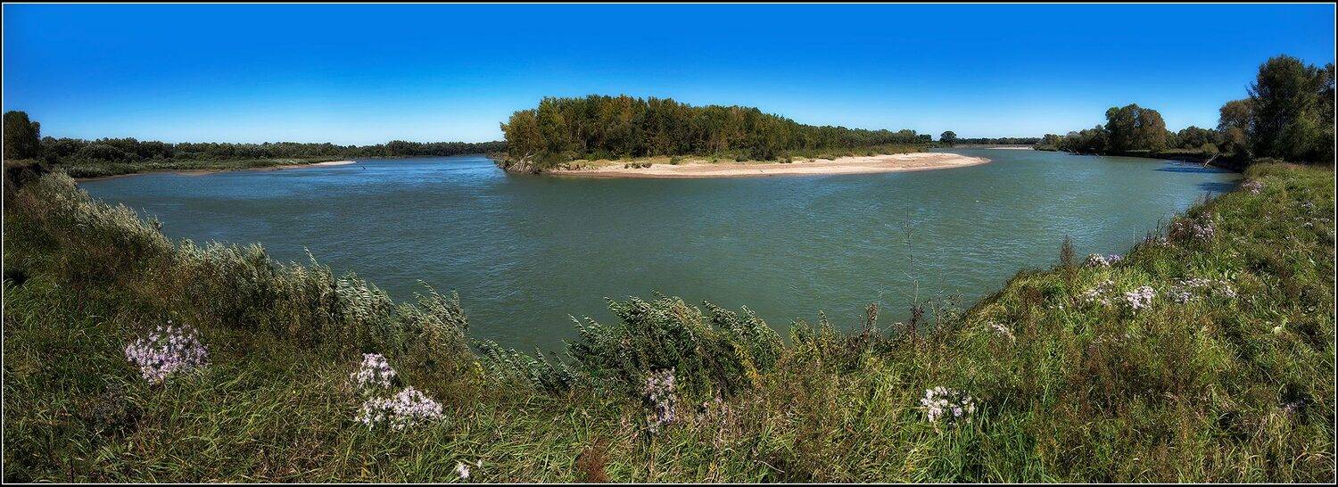 алтай, р.чарыш, АНАТОЛИЙ ДОВЫДЕНКО