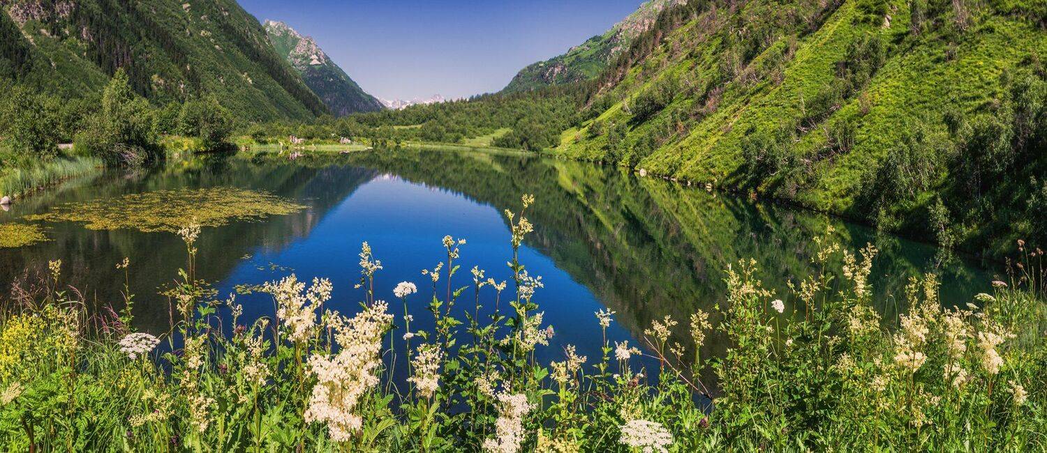 , Игорь Мелекесцев