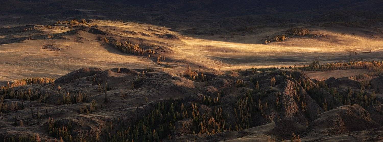 , Бруно Томский