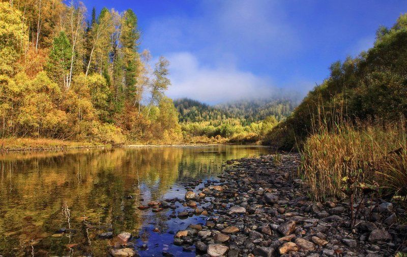 горная шория, ортон, сибирь, осень Осенние воспоминания фото превью
