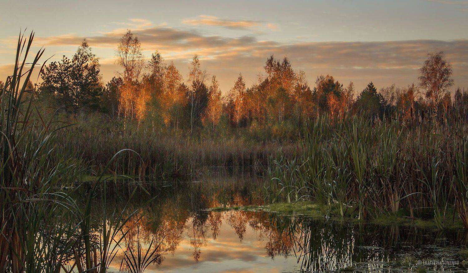 , Екатерина Ионенко