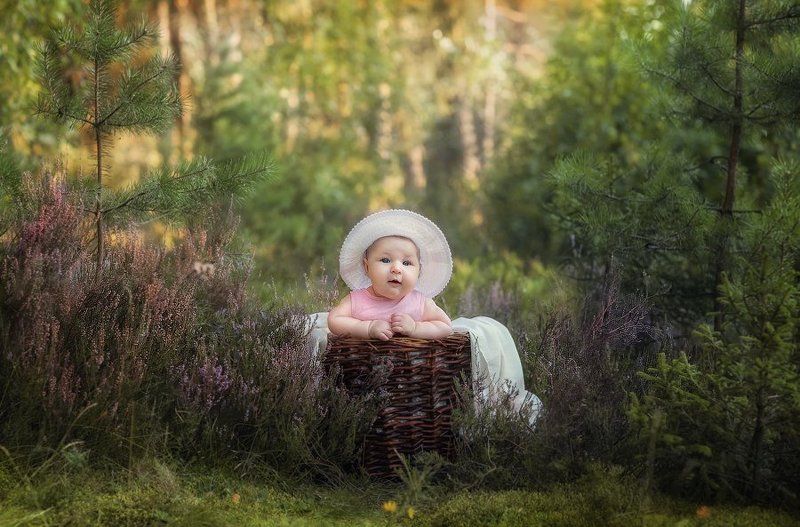 фото превью