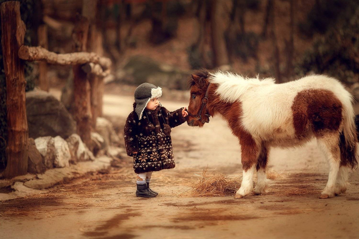 дети семья животные, Вера Ливчак