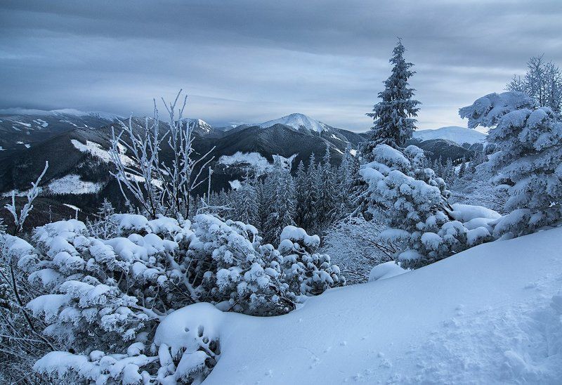 Рождественские Горганы фото превью