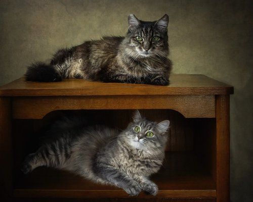 У каждого своя ниша