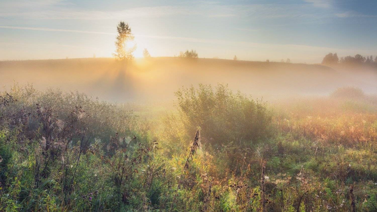 , Курдюков Михаил