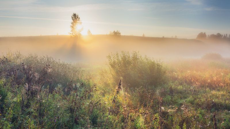 Вспоминая о лете фото превью