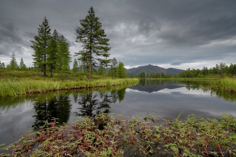 колыма Лето на Эликчанских озерах... фото превью