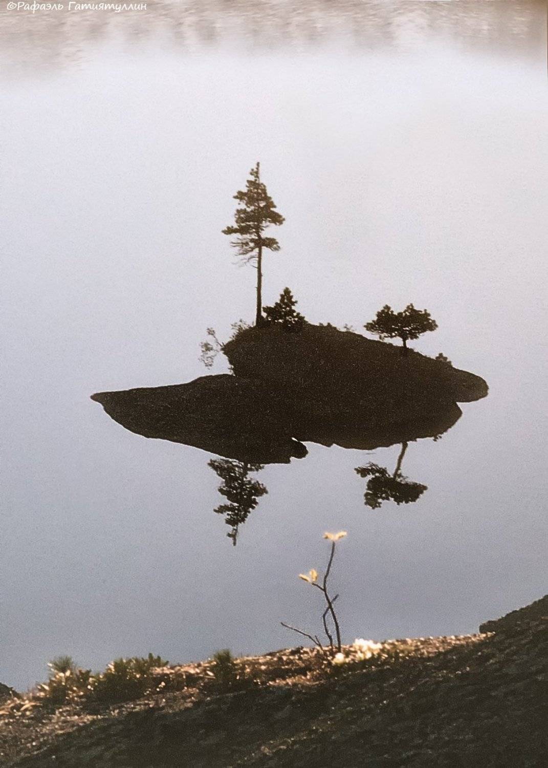 красноярский край, западные саяны, национальный парк  ергаки, озеро, островок, кустик., Рафаэль Гатиятуллин