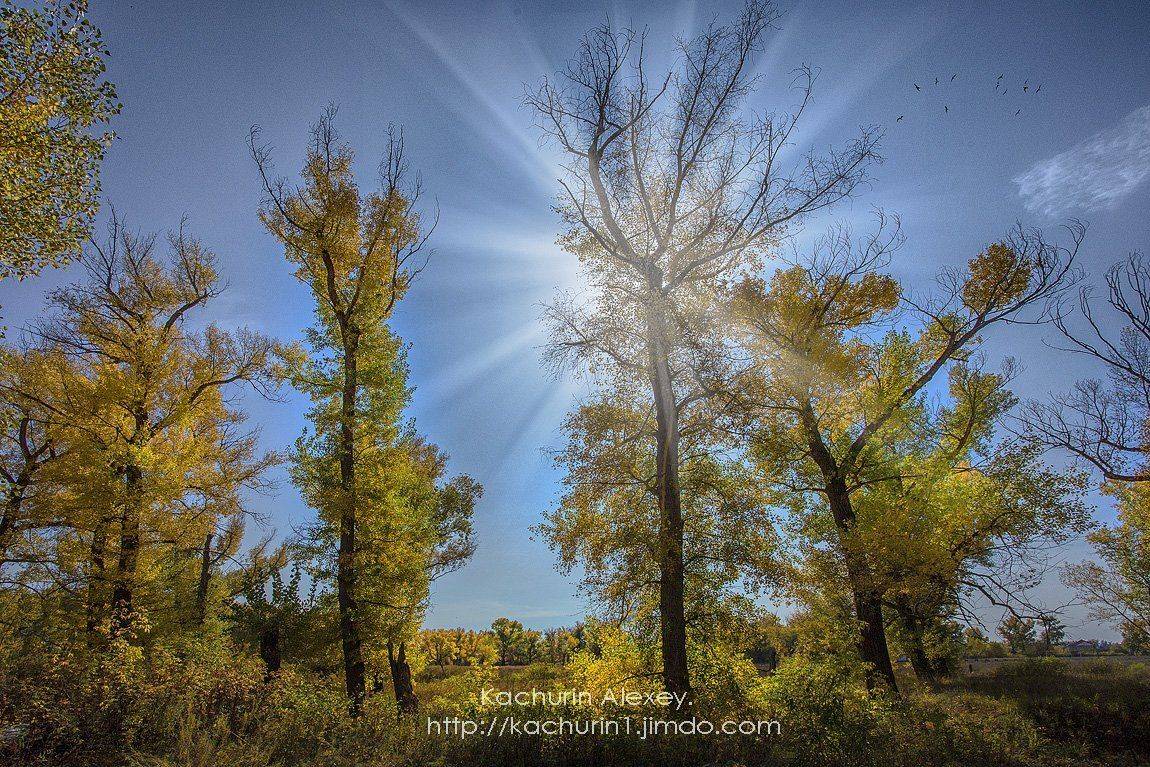 орск, качурин, осень урал, Качурин Алексей