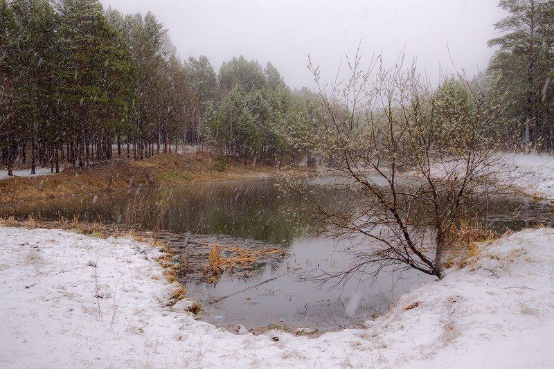 Майский снег фото превью