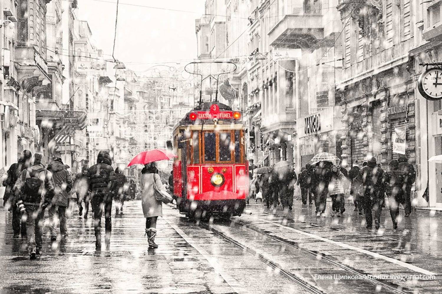 , Щипкова Елена