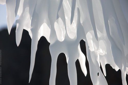 Ледяной фарфор