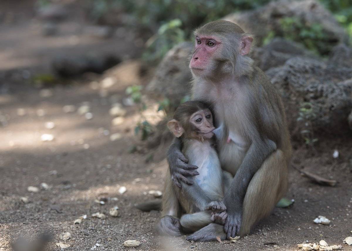 мама, Александр Маркелов