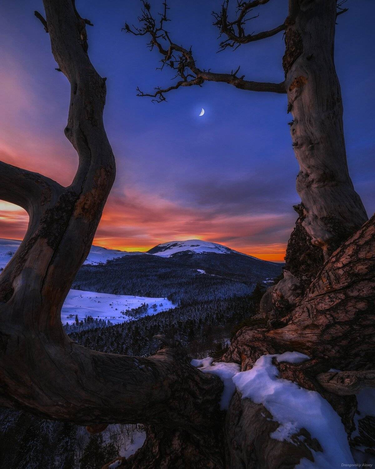 , Алексей Дранговский