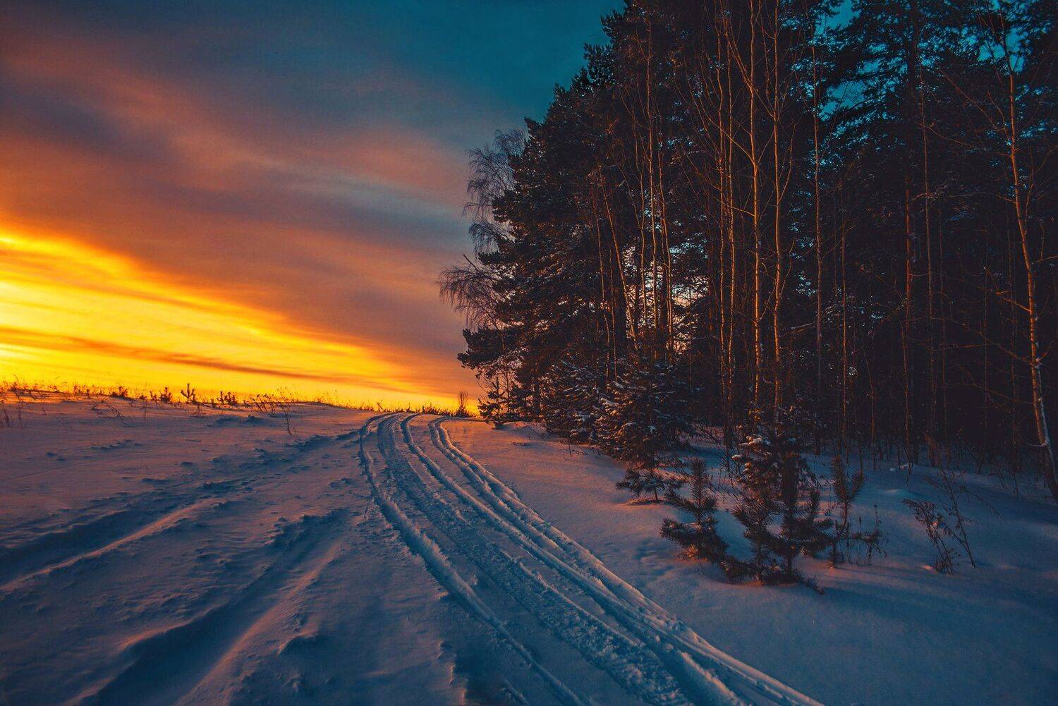 фото, природа, закат, лес, зима, Екатерина