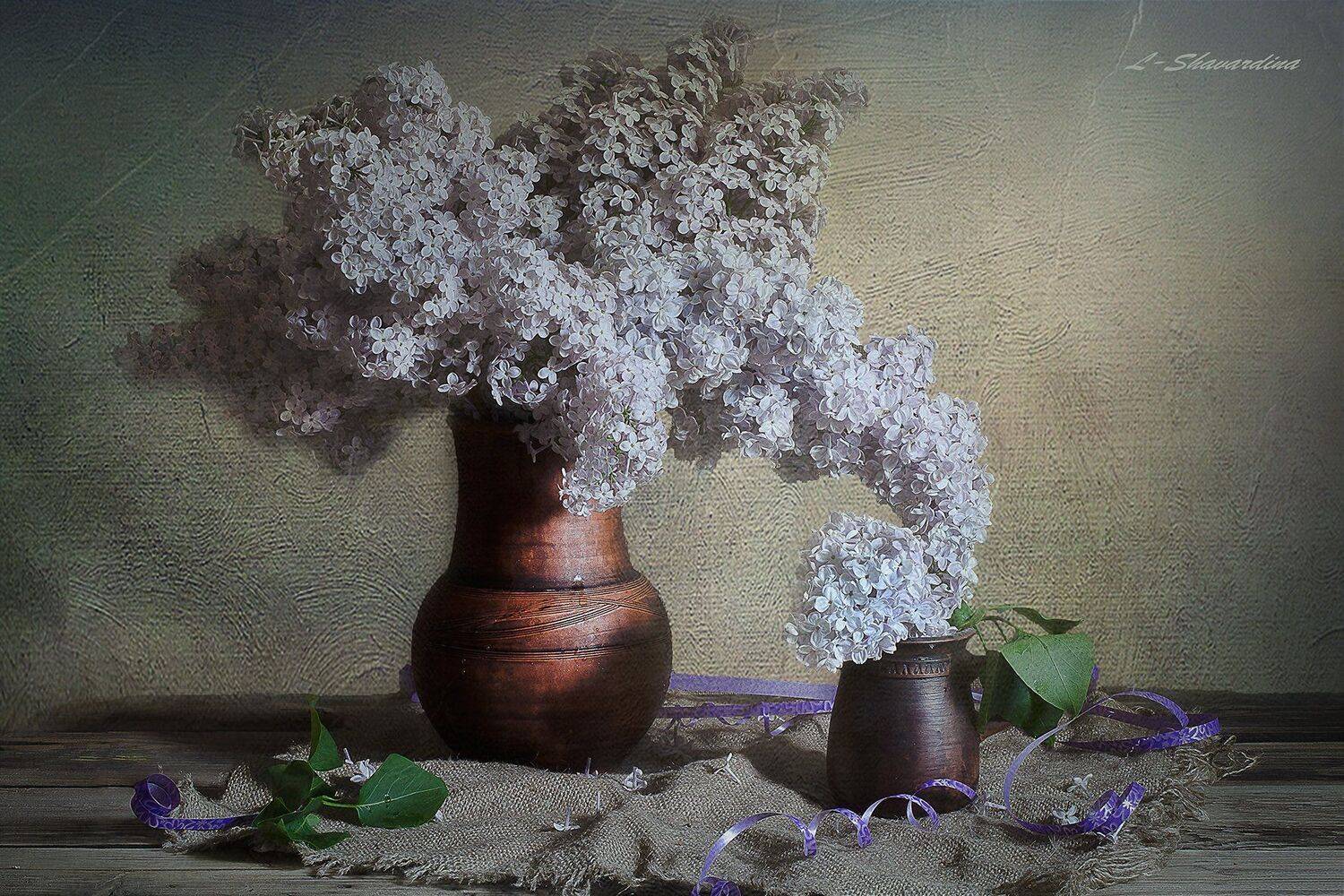 , Елизавета Шавардина