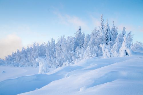 Январские морозы