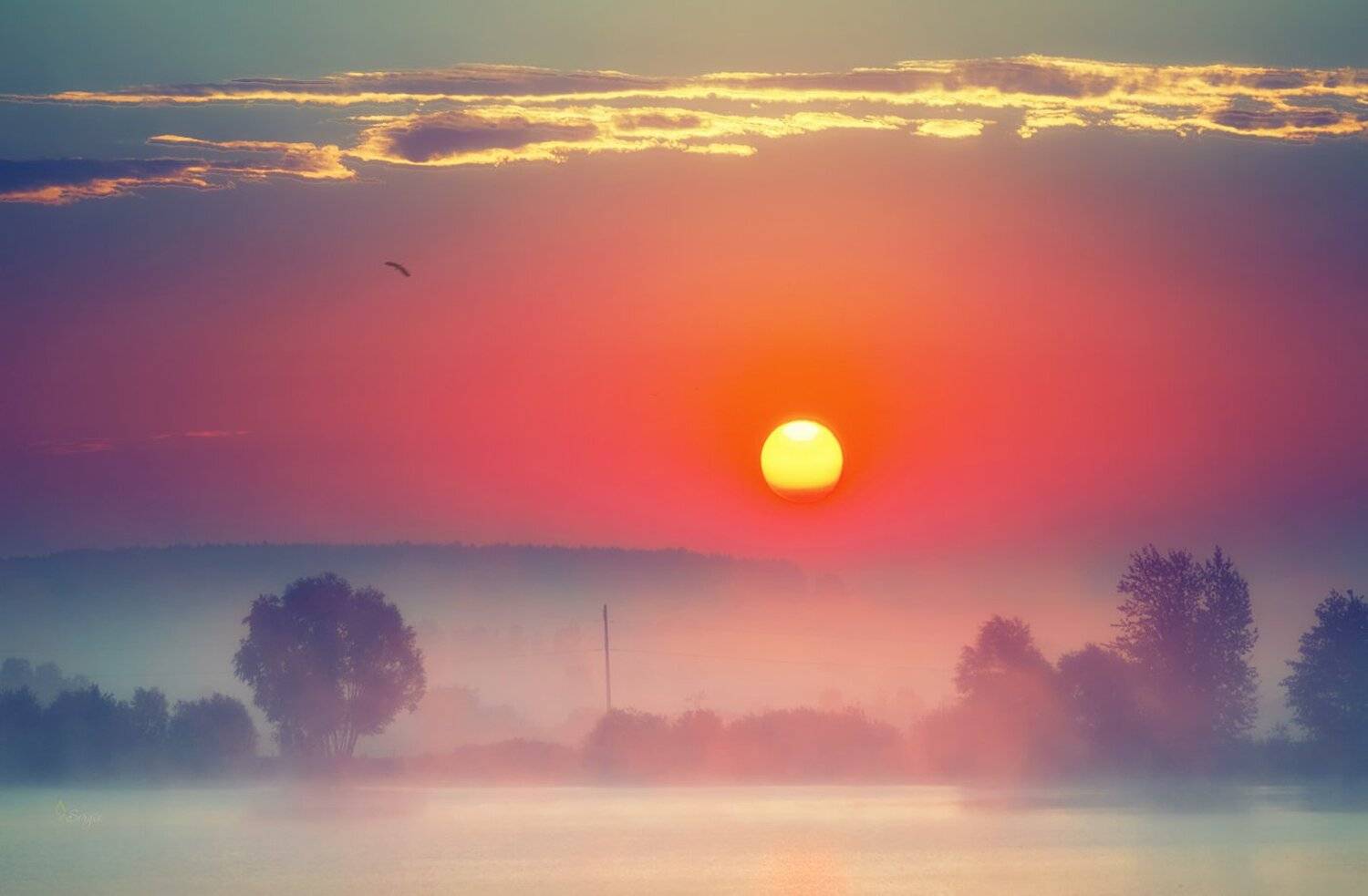 Беларусь, Серж Домбровский