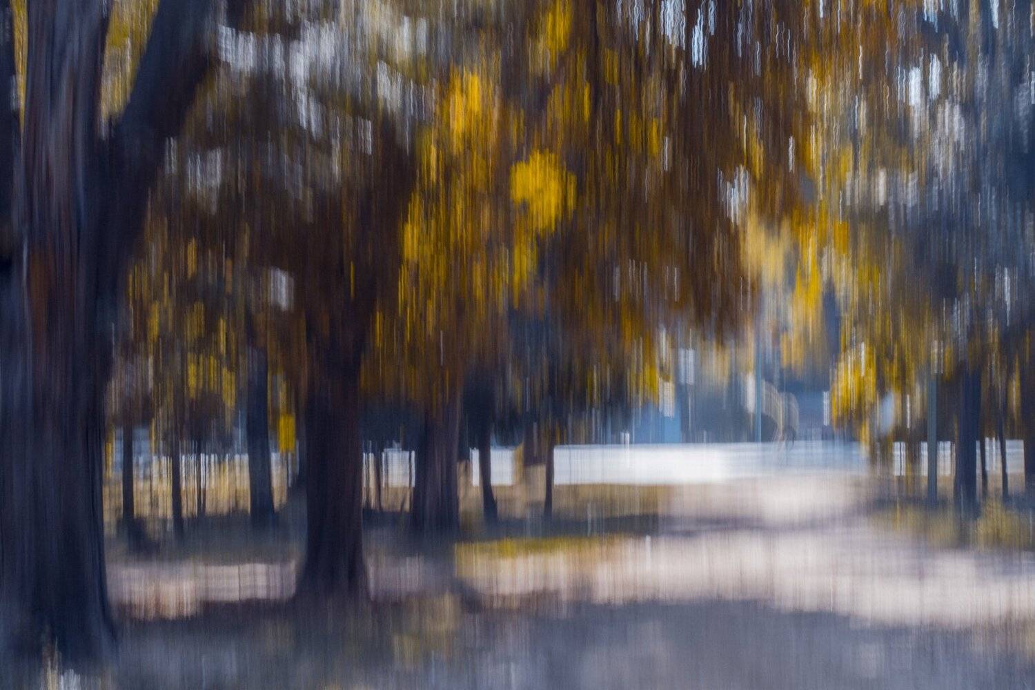 , Юрий Пужалин