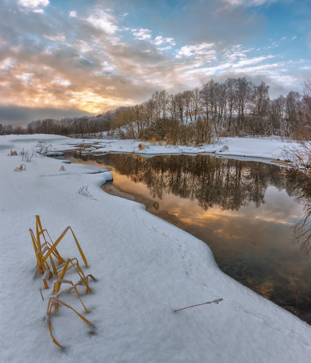 , Николай Андреев